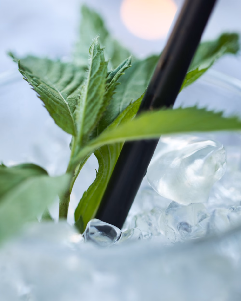 Featured image for Countertop Ice Makers, Compared