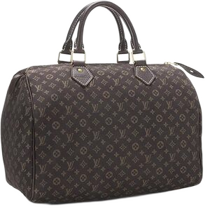 202409 handbogs LV Speedy30 300 no bg