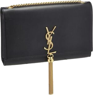 202409 handbogs YSL Kate 300 no bg