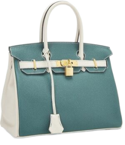 202409 handbogs hermes birkin 300 no bg