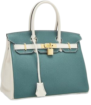 202409 handbogs hermes birkin 300 no bg